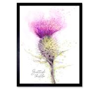 Wee Blue Coo Scottish Thistle Flower Head Watercolour Art Print Framed Wall Decor 9X7 inch