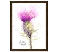 Wee Blue Coo Scottish Thistle Flower Head Watercolour Scotland A4 Artwork Framed Wall Art Print