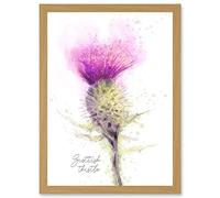 Wee Blue Coo Scottish Thistle Flower Head Watercolour Scotland A4 Artwork Framed Wall Art Print