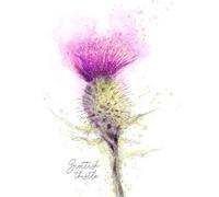 Wee Blue Coo Scottish Thistle Flower Head Watercolour Scotland Art Print