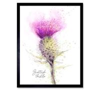 Wee Blue Coo Scottish Thistle Flower Head Watercolour Scotland Art Print Framed Poster Wall Decor 12X16 Inch
