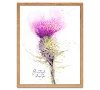 Wee Blue Coo Scottish Thistle Flower Head Watercolour Scotland Art Print Framed Poster Wall Decor 12X16 Inch
