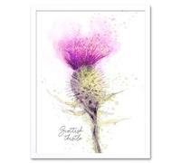 Wee Blue Coo Scottish Thistle Flower Head Watercolour Scotland Art Print Framed Poster Wall Decor 12X16 Inch