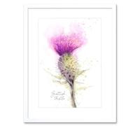 Wall Art Print Scottish Thistle Flower Head Watercolour Scotland Framed Artery8 White W7 inch x H9 inch