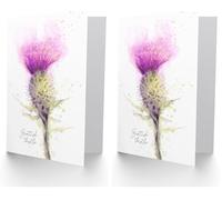 Wee Blue Coo Scottish Thistle Flower Head Watercolour Scotland Greetings Card (Pack of 2)
