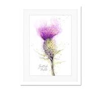 Wee Blue Coo Scottish Thistle Flower Head Watercolour Scotland Large Art Print Poster Wall Decor 18x24 inch Supplied Ready To Hang With Included Mount Brackets