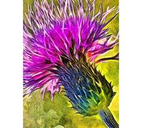 Wee Blue Coo Scottish Thistle Flower Vibrant Art Print Poster Wall Decor 12X16 Inch