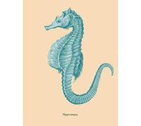 Wee Blue Coo Sea Horse Hippocampus Blue Art Print Canvas Premium Wall Decor Poster