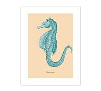 Wee Blue Coo Sea Horse Hippocampus Blue Art Print Canvas Premium Wall Decor Poster