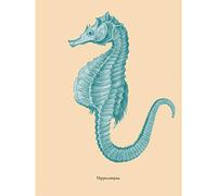 Wee Blue Coo Sea Horse Hippocampus Blue Large Wall Art Print Canvas Premium Poster