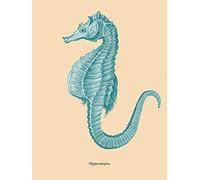 Wee Blue Coo Sea Horse Hippocampus Blue Unframed Art Print Poster Wall Decor 12X16 Inch
