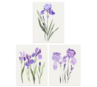 Wee Blue Coo Set of 3 Prints Watercolour Iris Floral Flowers Purple Living Room Poster Wall Art A4