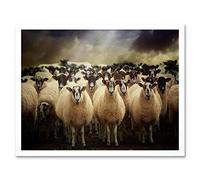 Wee Blue Coo Sheep Flock Farm Animal Art Print Framed Poster Wall Decor 12X16 Inch