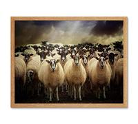 Wee Blue Coo Sheep Flock Farm Animal Art Print Framed Poster Wall Decor 12X16 Inch