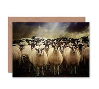 Wee Blue Coo SHEEP FLOCK FARM ANIMAL PHOTO BIRTHDAY GIFT BLANK GREETINGS CARD