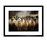 Wee Blue Coo Sheep Flock Farm Animal Photo Wood Frame Picture Gift Framed Wall Art Print