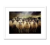 Wee Blue Coo Sheep Flock Farm Animal Photo Wood Frame Picture Poster Art Gift F12X1058