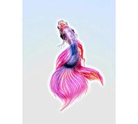 Wee Blue Coo Siamese Fighting Fish Pink Art Print Poster Wall Decor 12X16 Inch