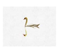 Wee Blue Coo Simple Swan Reflection Large Wall Art Poster Print Thick Paper 18X24 Inch
