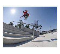 Wee Blue Coo Skate Boarding Challenge Flying Stairs Art Print Poster Wall Decor 12X16 Inch