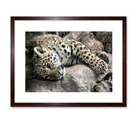 Wee Blue Coo Sleepy Jaguar Big Cat Art Framed Wall Art Print