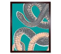 Wee Blue Coo Snake Illustration Modern Biodiversity Art Print Framed Poster Wall Decor 12x16 inch