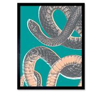 Wee Blue Coo Snake Illustration Modern Biodiversity Art Print Framed Poster Wall Decor 12x16 inch