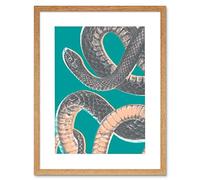Wee Blue Coo Snake Illustration Modern Biodiversity Artwork Framed Wall Art Print 12X16 Inch