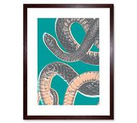 Wee Blue Coo Snake Illustration Modern Biodiversity Artwork Framed Wall Art Print 12X16 Inch
