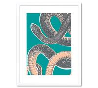 Wee Blue Coo Snake Illustration Modern Biodiversity Artwork Framed Wall Art Print 12X16 Inch