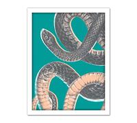 Wee Blue Coo Snake Illustration Modern Biodiversity Artwork Framed Wall Art Print 18X24 Inch