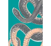 Wee Blue Coo Snake Illustration Modern Biodiversity Premium Wall Art Canvas Print 18X24 Inch
