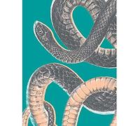 Wee Blue Coo Snake Illustration Modern Biodiversity Unframed Wall Art Print Poster Home Decor Premium