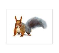 Wee Blue Coo Squirrel Watercolour Cute Art Print Canvas Premium Wall Decor Poster