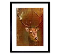 Wee Blue Coo STAG HEAD VINTAGE STYLE BLACK FRAME FRAMED ART PRINT PICTURE MOUNT B12X13740