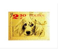 Wee Blue Coo Stamp Poland 250 Zloty Two Hundred Fifty English Setter Wall Art Print