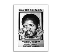 Wee Blue Coo Steve Biko Anc Apartheid South Africa Political Canvas Art Print
