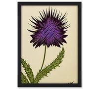 Wee Blue Coo Stylized Modern Purple Scottish Thistle Flower Illustration Artwork Framed A3 Wall Art Print