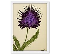 Wee Blue Coo Stylized Modern Purple Scottish Thistle Flower Illustration Artwork Framed A3 Wall Art Print
