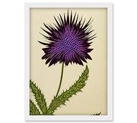 Wee Blue Coo Stylized Modern Purple Scottish Thistle Flower Illustration Artwork Framed Wall Art Print A4