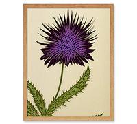 Wee Blue Coo Stylized Modern Purple Scottish Thistle Flower Illustration Artwork Framed Wall Art Print 9X7 Inch