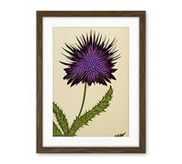 Wee Blue Coo Stylized Modern Purple Scottish Thistle Flower Illustration Artwork Framed Wall Art Print 18X24 Inch