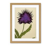Wee Blue Coo Stylized Modern Purple Scottish Thistle Flower Illustration Artwork Framed Wall Art Print 18X24 Inch