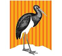 Wee Blue Coo Tall Birds On Stripes Black Stork Orange Art Print Canvas Premium Wall Decor Poster Mural