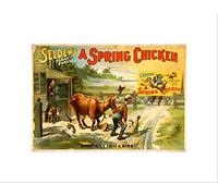 Wee Blue Coo Theatre Stage Play Spring Chicken Selden Farce Comedy Advert Art Wall Art Print