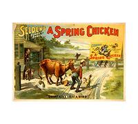 Wee Blue Coo Theatre Stage Play Spring Chicken Selden Farce Comedy USA Wall Art Print