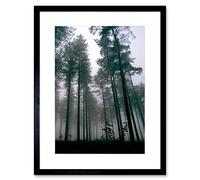 Wee Blue Coo Thetford Forest Trees Mist Art Framed Wall Art Print
