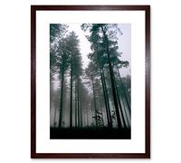 Wee Blue Coo Thetford Forest Trees Mist Art Framed Wall Art Print