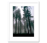 Wee Blue Coo Thetford Forest Trees Mist Art Framed Wall Art Print