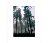 Wee Blue Coo Thetford Forest Trees Mist Art Wall Art Print